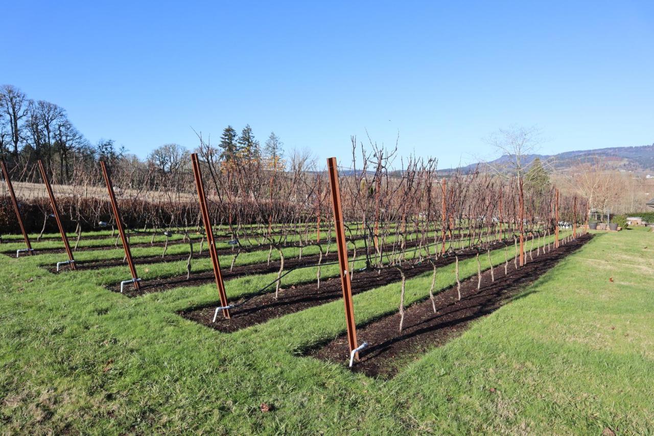 The Setting Inn Willamette Valley Newberg Luaran gambar