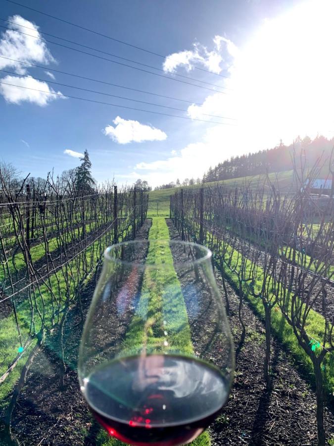 The Setting Inn Willamette Valley Newberg Luaran gambar